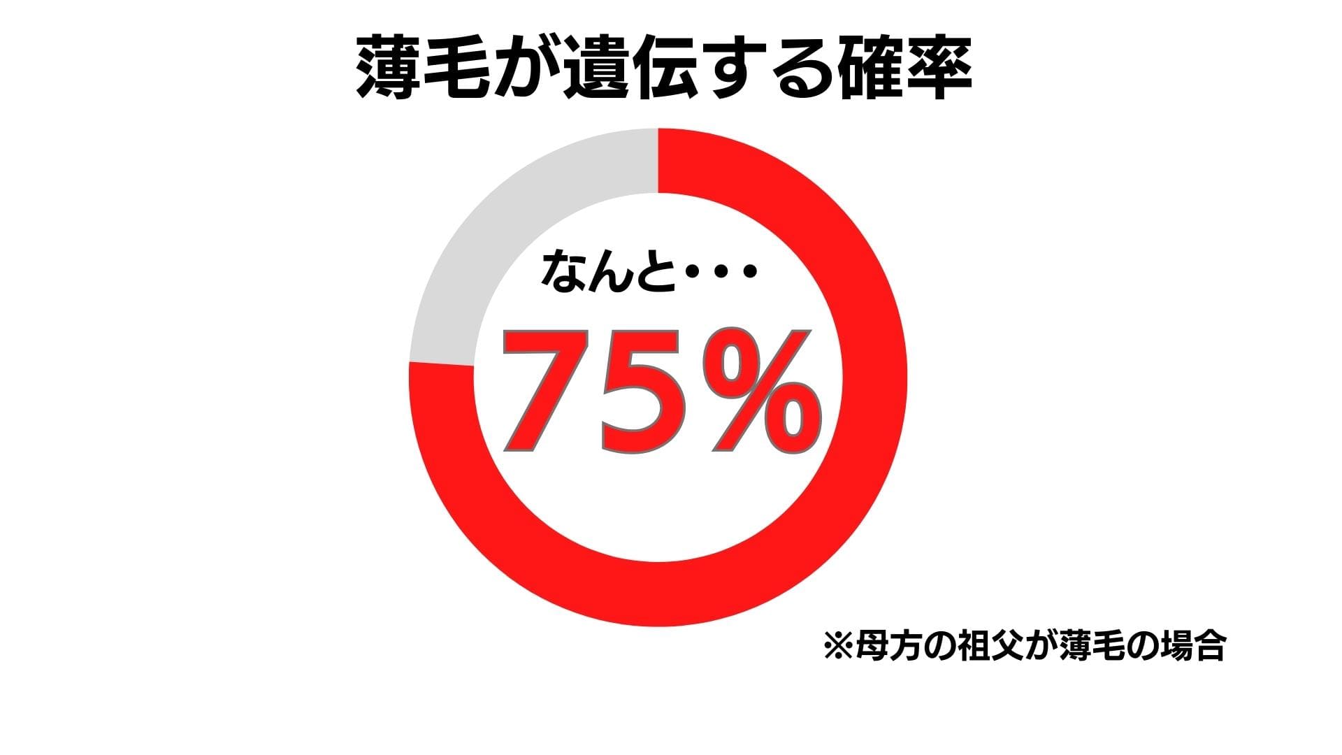 薄毛が遺伝する確率を表した円グラフ