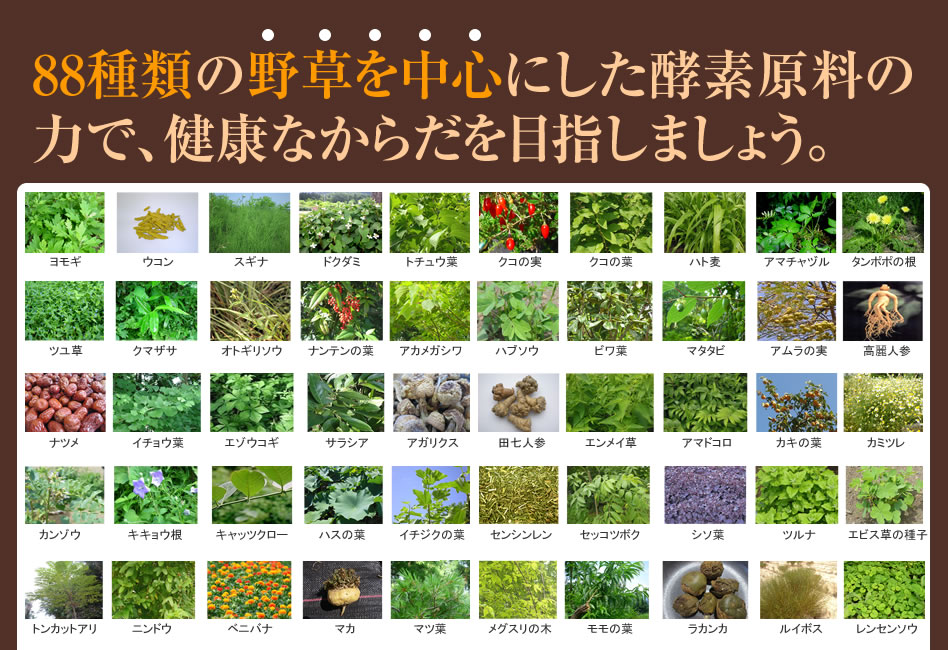 88種類の酵素原料となる野草植物