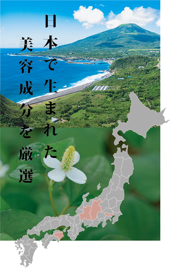 日本地図と日本の自然の景色