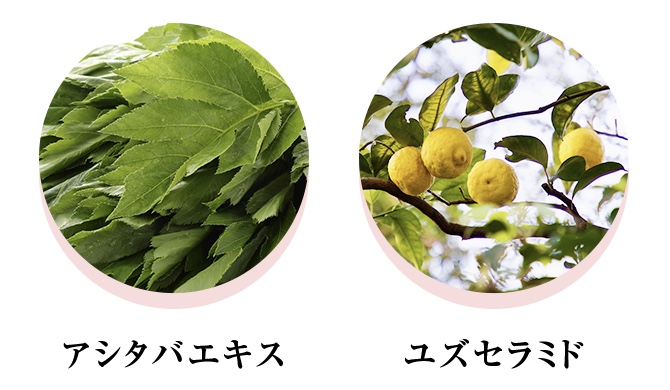 美容成分2種類の日本の植物